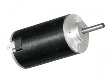 PMDC Motor (Brushed Motor)